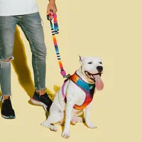 Zee.Dog Prisma Leash  - фото 3