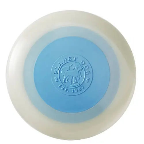 Planet Dog Zoom Flyer