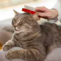 Vet's Best Waterless Cat Bath  - фото 3