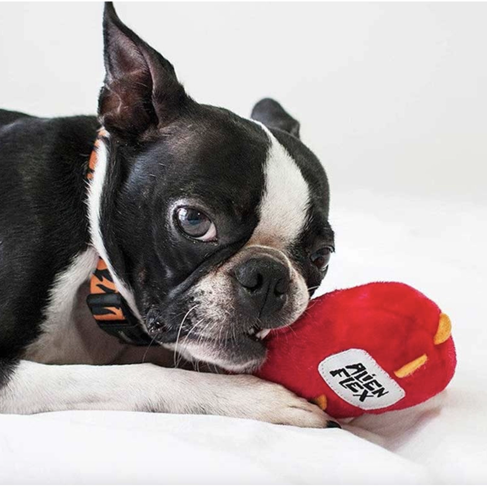 Zee.Dog Stixx  - фото 4