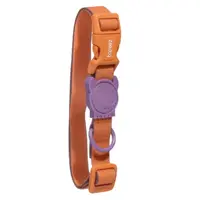 Zee.Dog Neopro Iris Collar