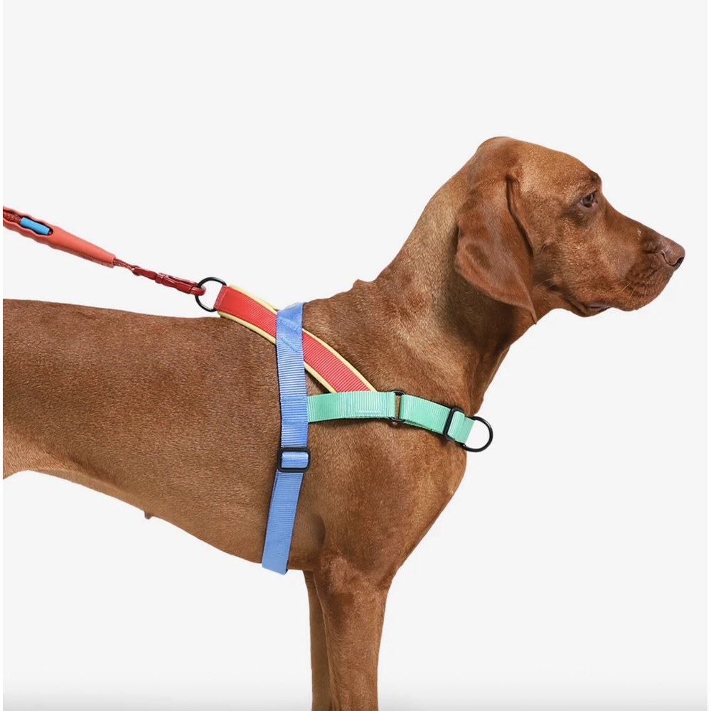 Zee.Dog Mellow SofterWalk Harness  - фото 4