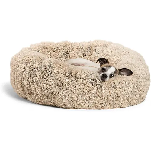 Best Friends Donut Shag