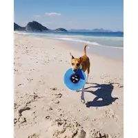 Zee.Dog Flying Vinyl  - фото 5