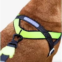 Zee.Dog Nox SofterWalk Harness  - фото 3