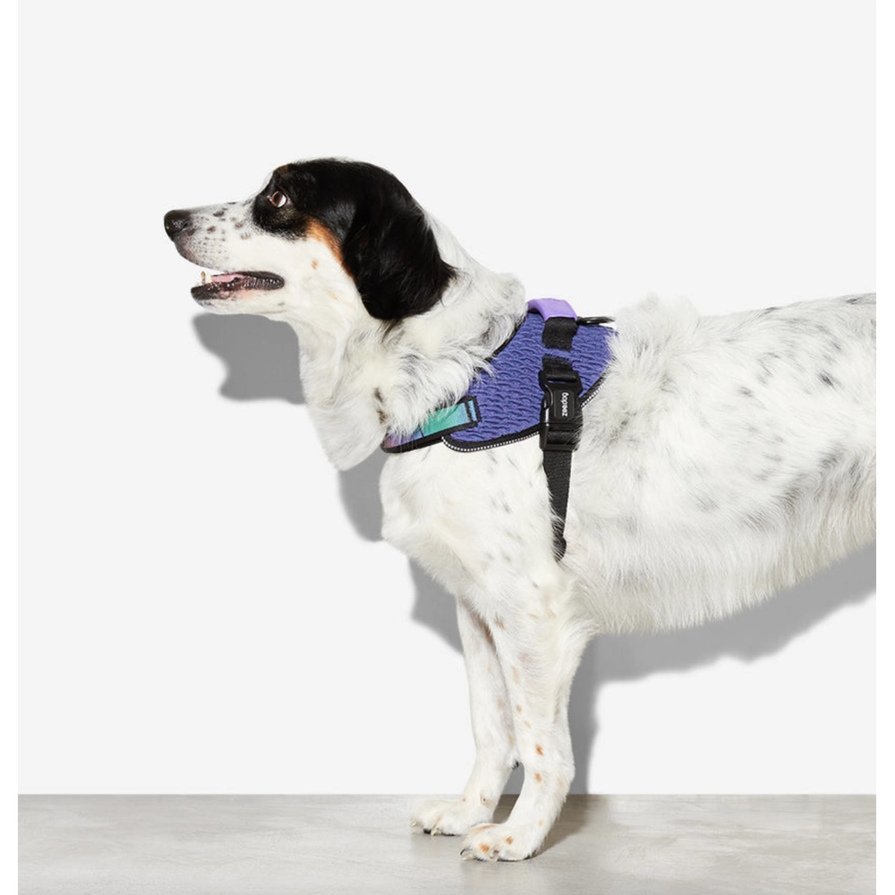 Zee.Dog Wicked FlyHarness  - фото 6