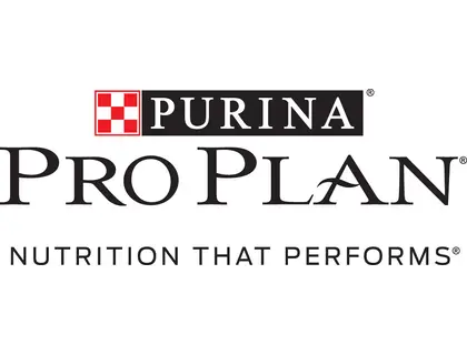 Pro Plan