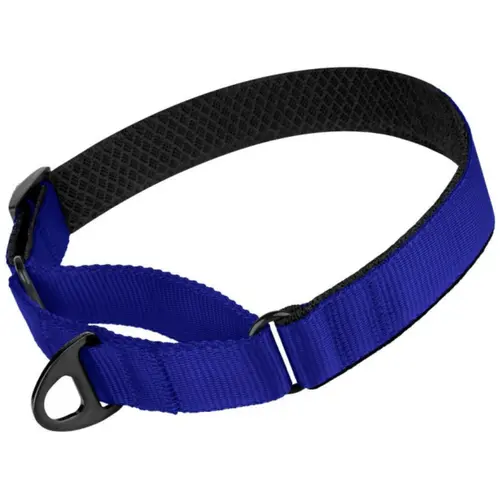 BronzeDog Мартингейл Mesh ошейник для собак Синий