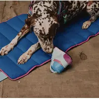 Zee.Dog Reebok Freestyle Plush Sneaker   - фото 4
