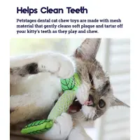 Petstages Fresh Breath Mint Stick  - фото 3