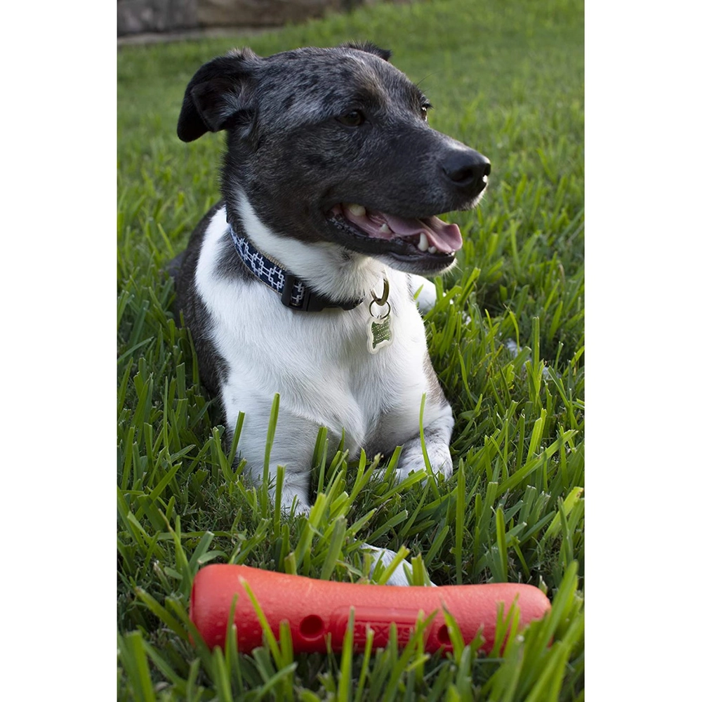 Dexas Off Leash Tumbler  - фото 5