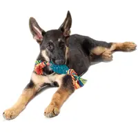 Petstages Orka Pine Cone Chew  - фото 3