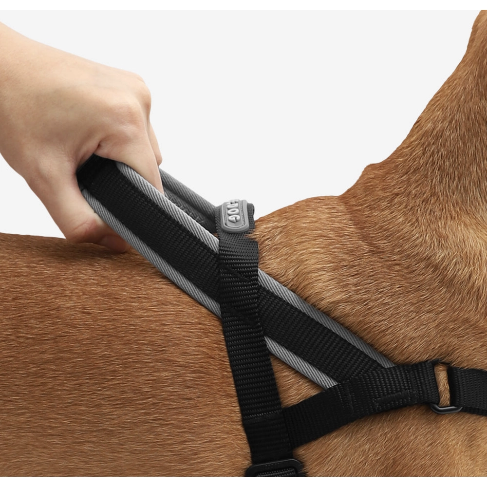 Zee.Dog Gotham SofterWalk Harness  - фото 2