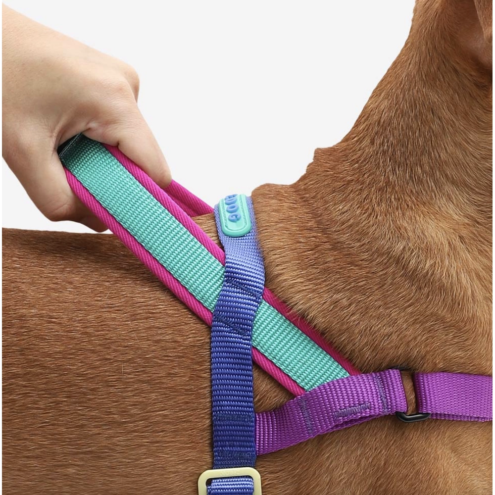 Zee.Dog Shockwave SofterWalk Harness  - фото 4