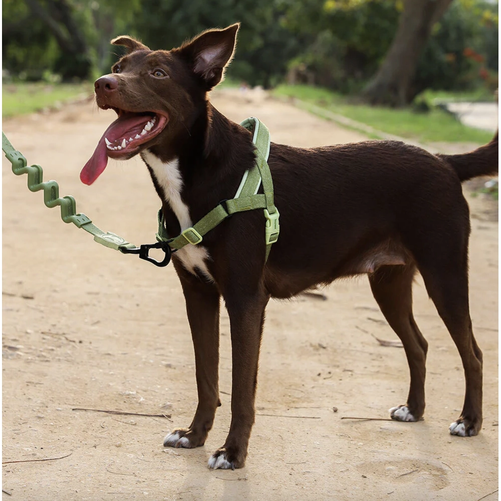 Zee.Dog Moss SofterWalk Harness  - фото 2