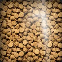 Oven-Baked Tradition Small Breed Vegan  - фото 2