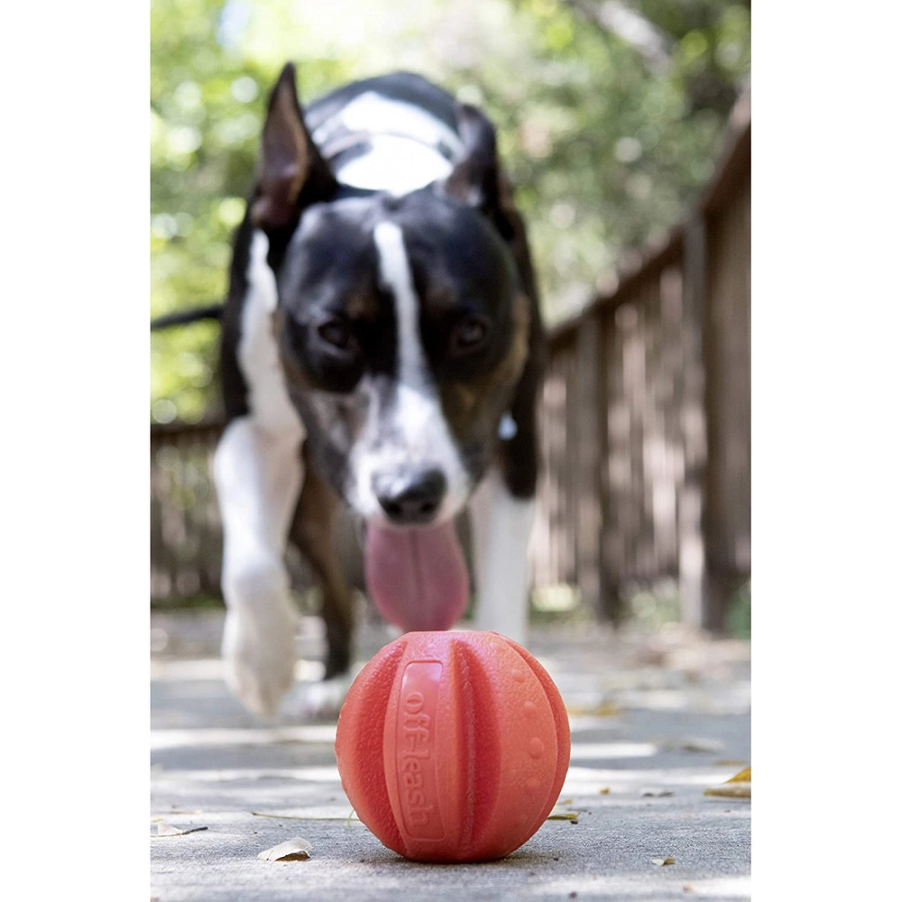 Dexas Off Leash Reaction Ball  - фото 6