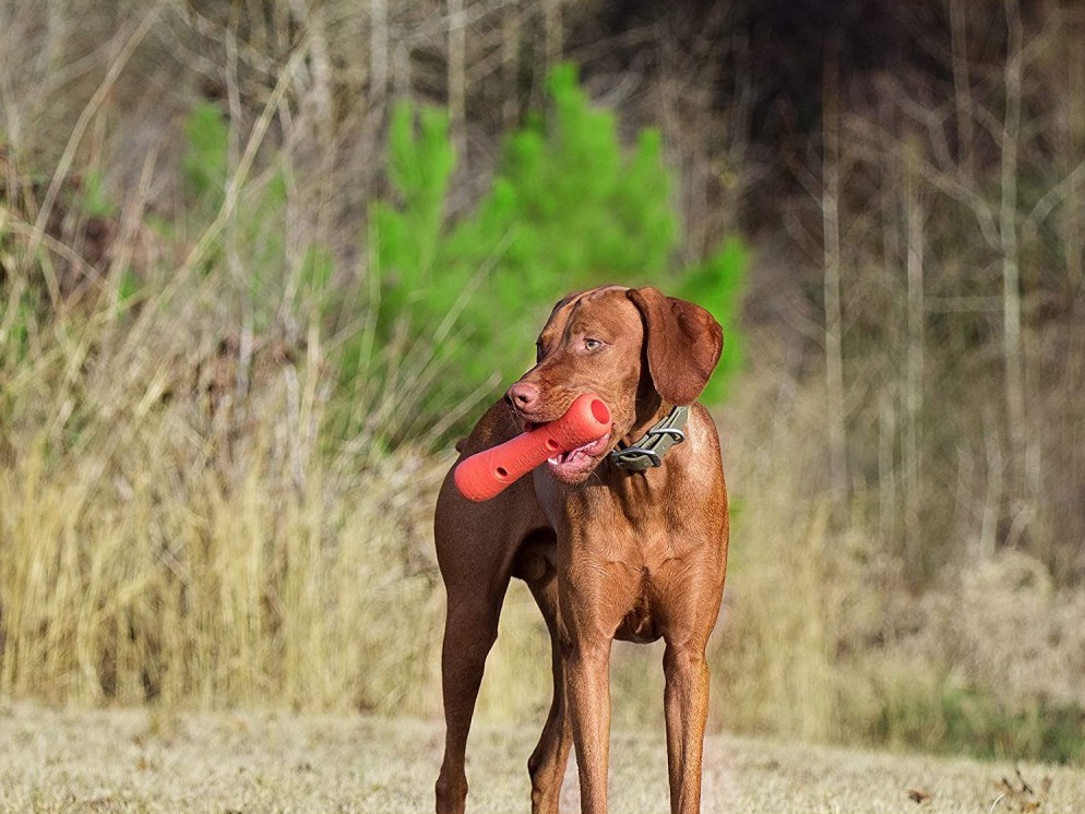 Описание Dexas Off Leash Tumbler - фото 1